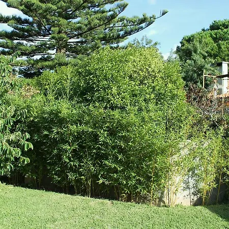 Ferienhaus Annona Cascais